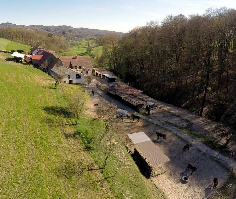 Pferdehof Und Wanderreitstation Doersam Βίλα Mörlenbach Εξωτερικό φωτογραφία